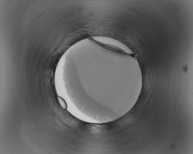 X0000115090229200912081242