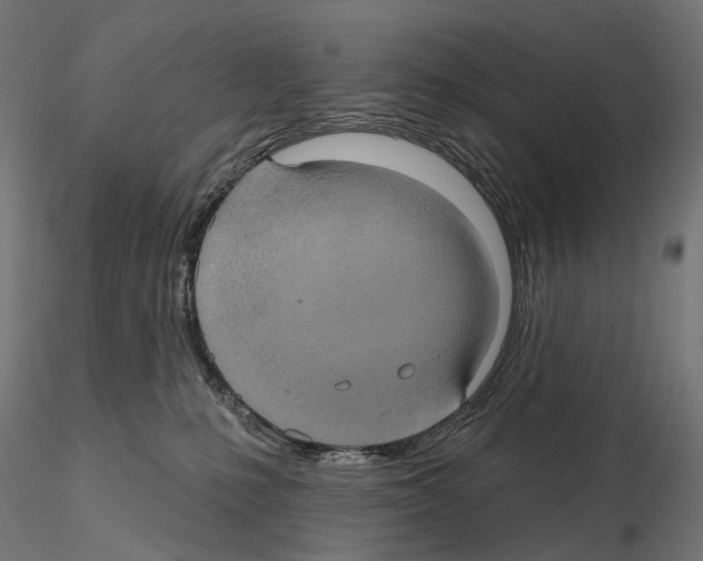 X0000115090231200912081242