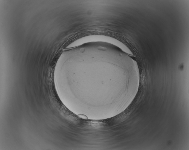 X0000115090233200912081242