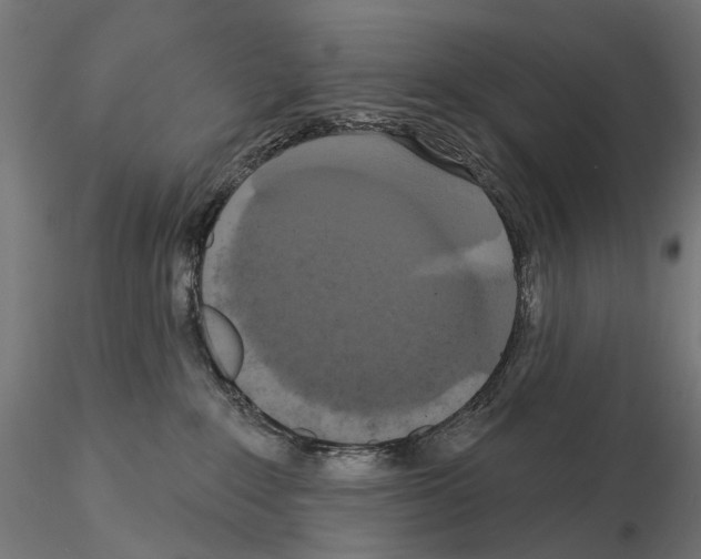 X0000115090235200912081242