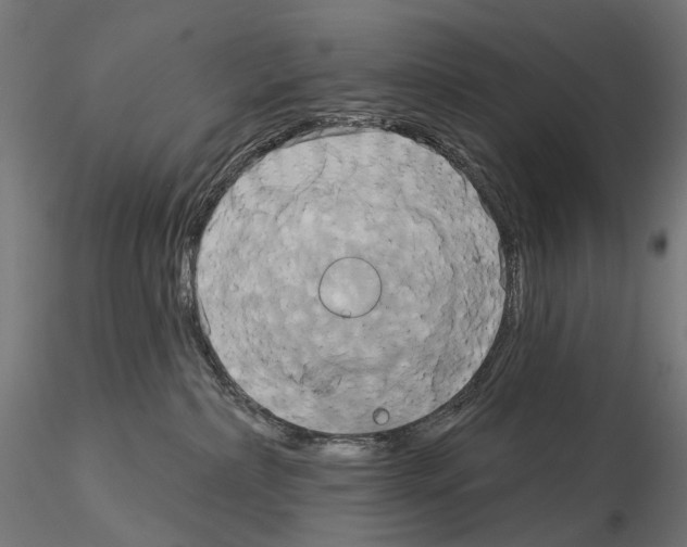 X0000115090236200912081242