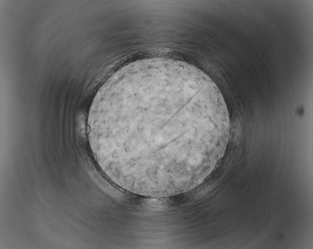 X0000115090238200912081242