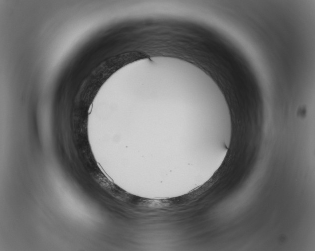 X0000115090239200912081242