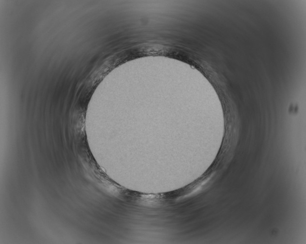 X0000115090240200912081242