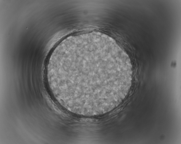 X0000115090242200912081241