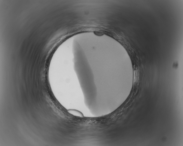 X0000115090243200912081241