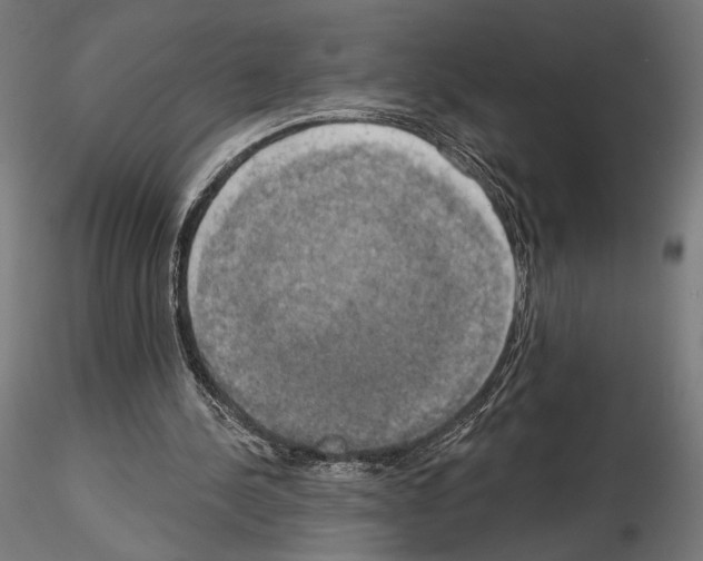 X0000115090244200912081242
