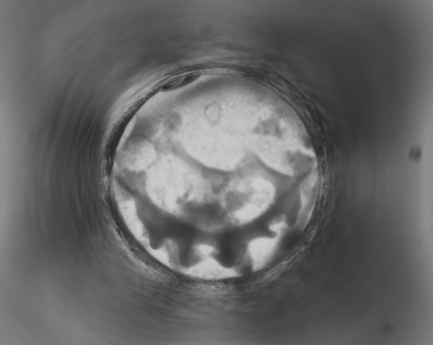 X0000115090245200912081242