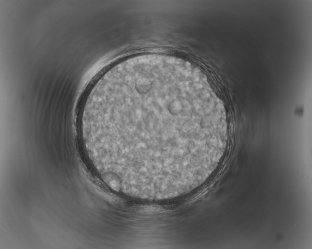 X0000115090246200912081242
