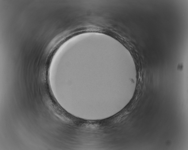 X0000115090247200912081242