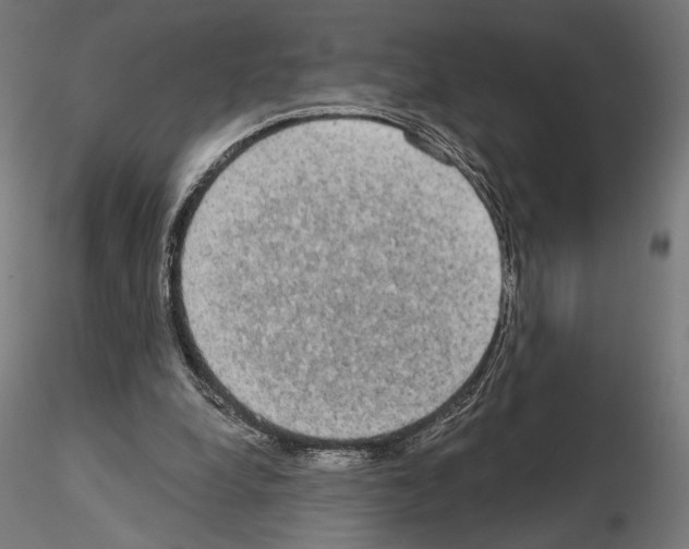 X0000115090248200912081242