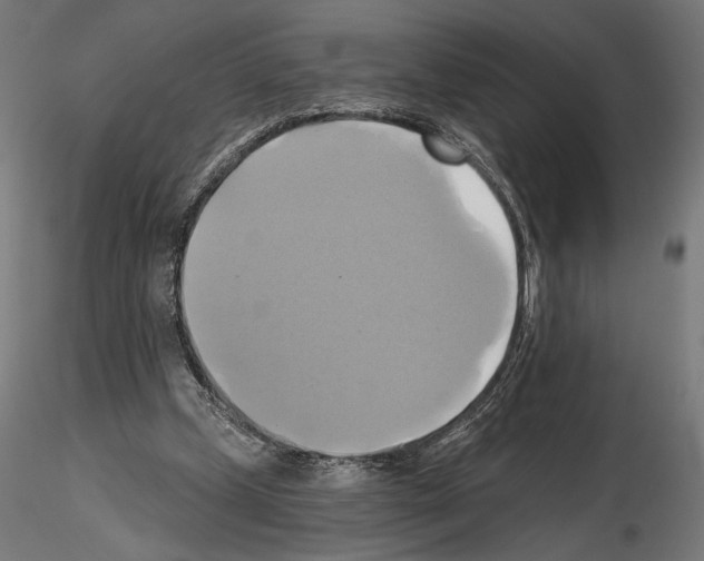 X0000115090249200912081242