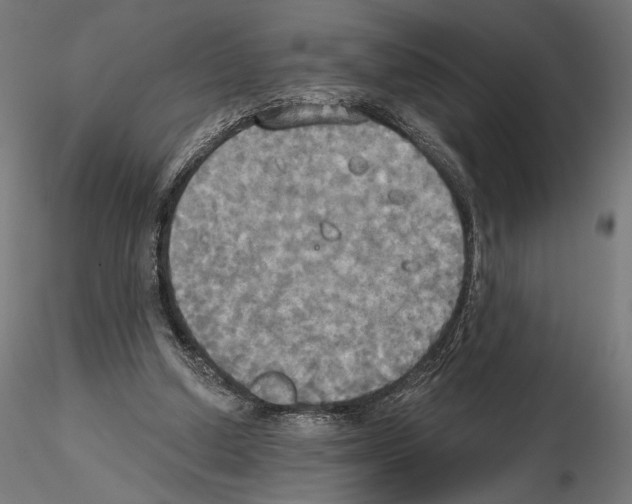 X0000115090250200912081242