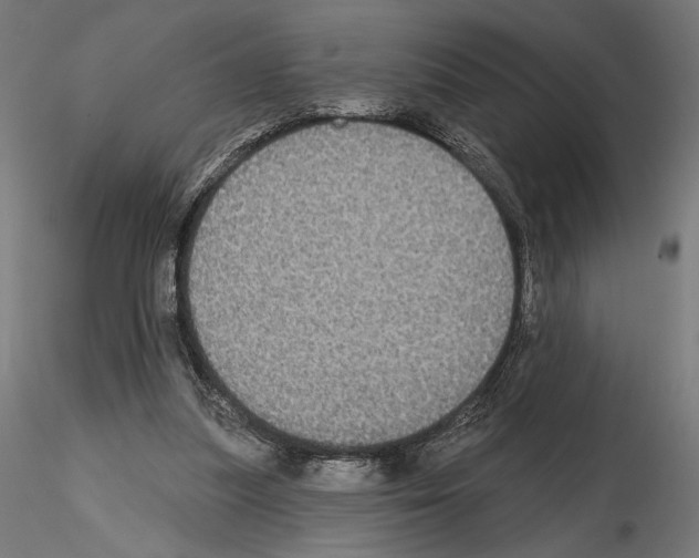 X0000115090251200912081242