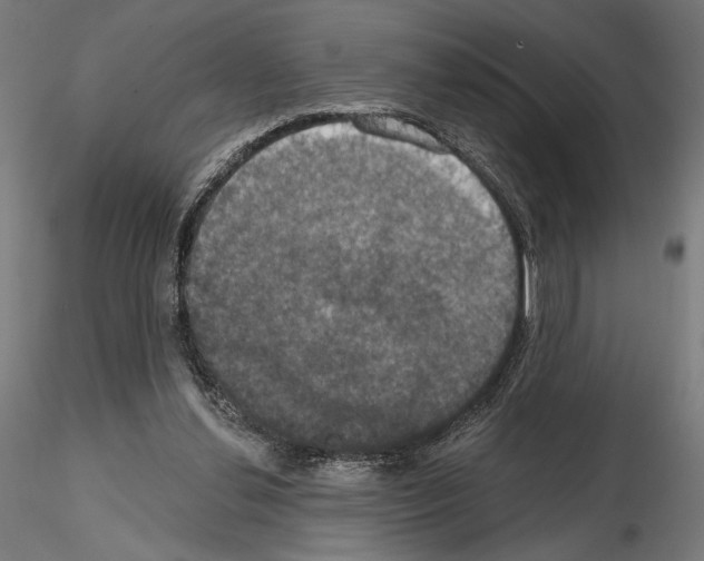 X0000115090252200912081242