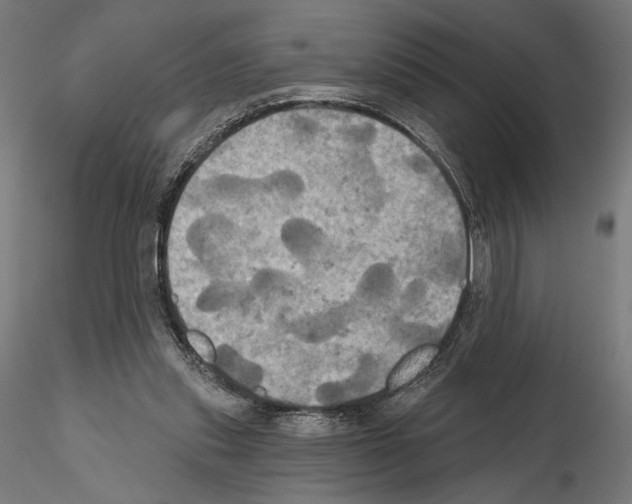 X0000115090253200912081242