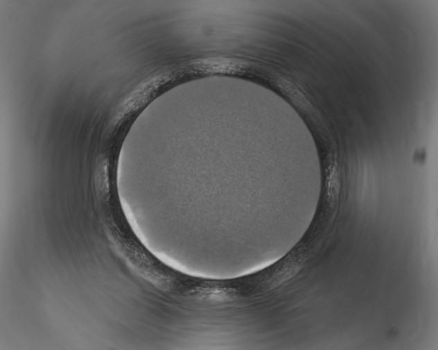 X0000115090254200912081242