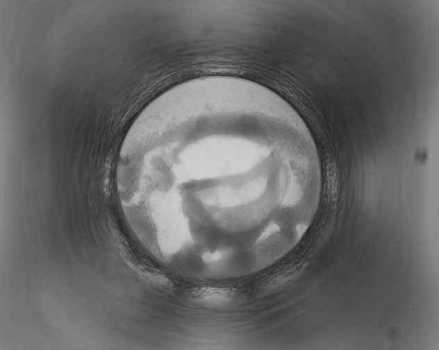 X0000115090255200912081242