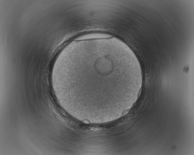 X0000115090256200912081242