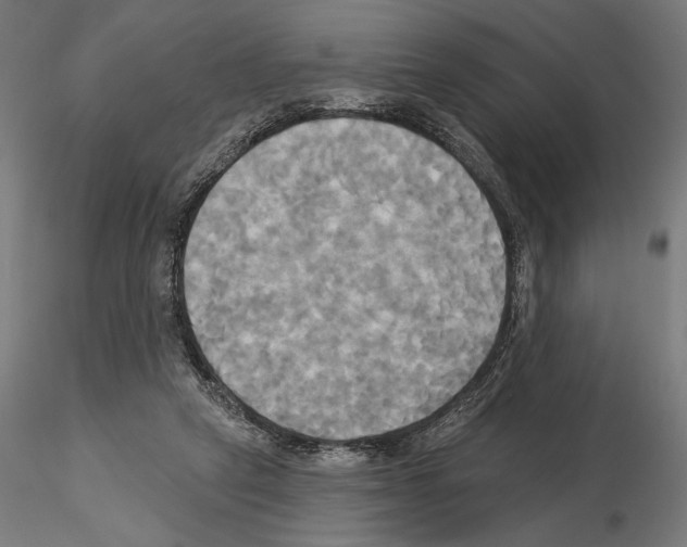 X0000115090257200912081242