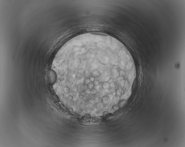 X0000115090258200912081242