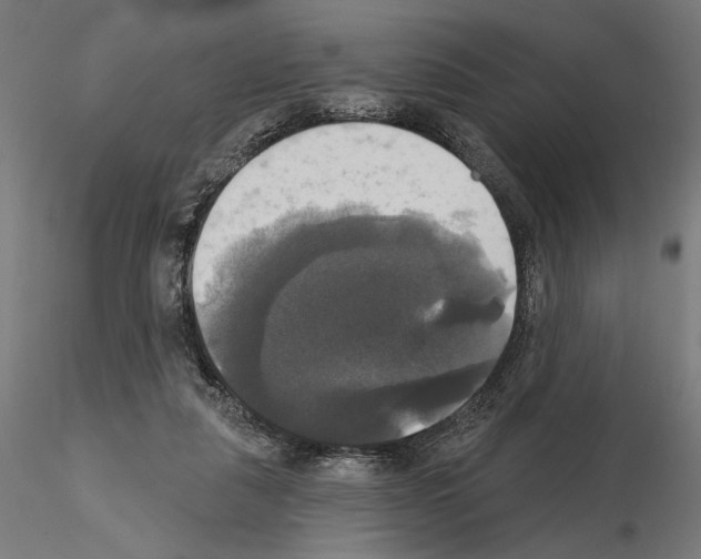 X0000115090259200912081242