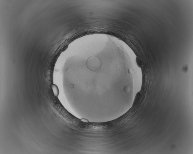 X0000115090260200912081242