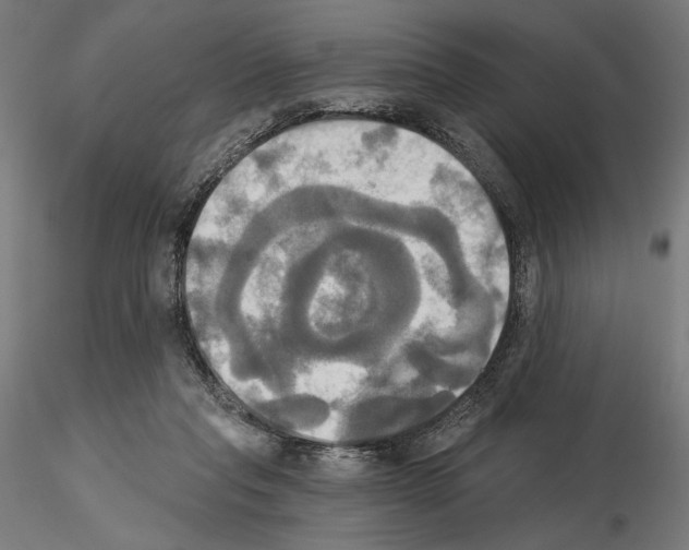 X0000115090261200912081242