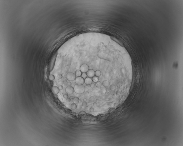 X0000115090262200912081242