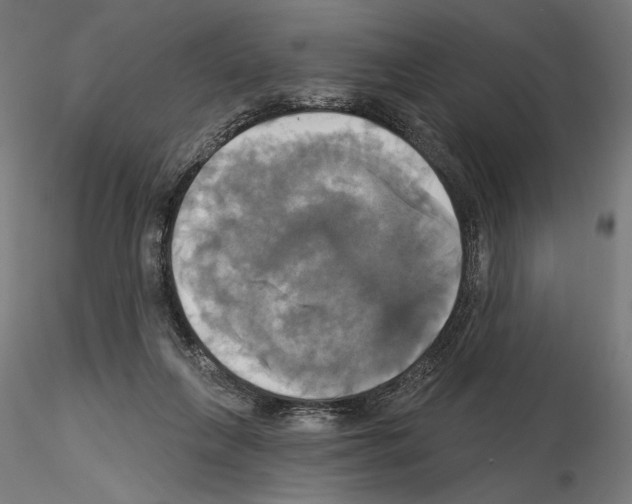X0000115090263200912081242