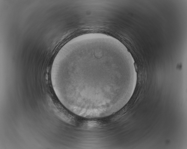 X0000115090264200912081242