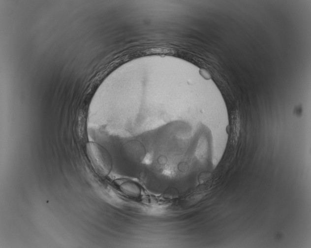 X0000115090266200912081242