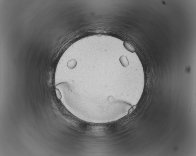X0000115090268200912081242