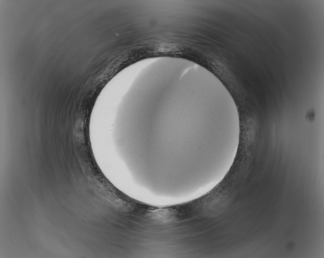 X0000115090269200912081242