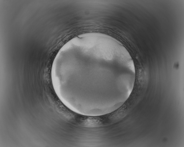 X0000115090270200912081242