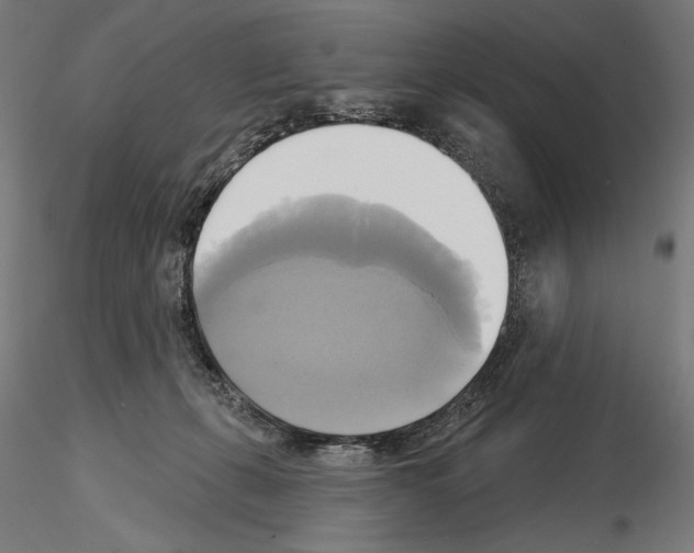 X0000115090271200912081242