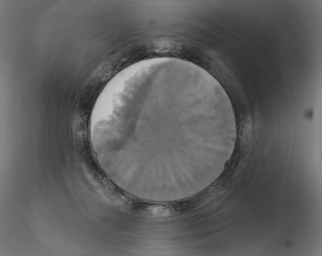 X0000115090272200912081242