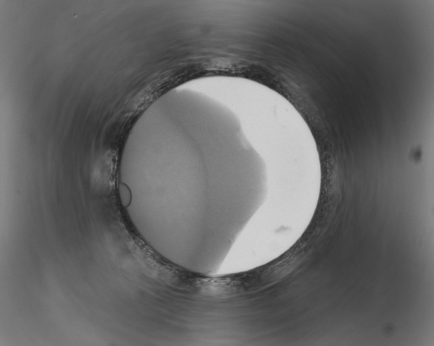 X0000115090273200912081242