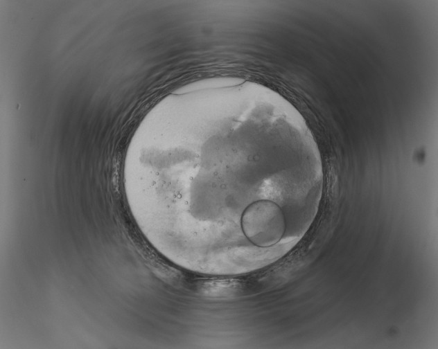 X0000115090274200912081242