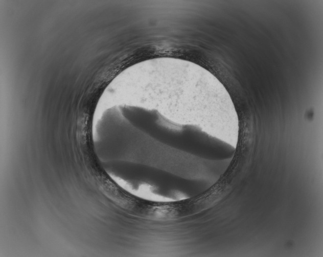 X0000115090275200912081242