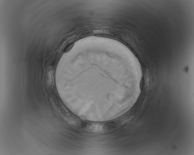X0000115090276200912081242