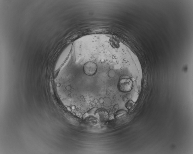 X0000115090277200912081242