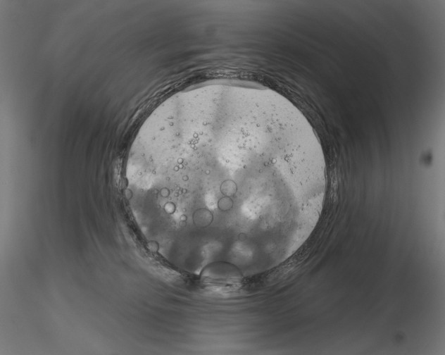X0000115090278200912081242