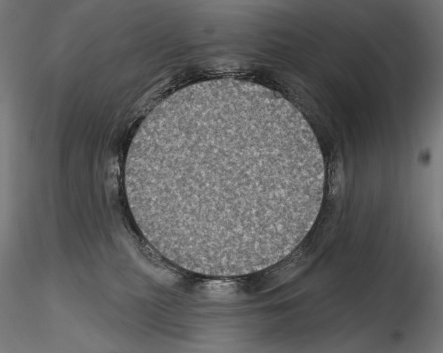 X0000115090279200912081242