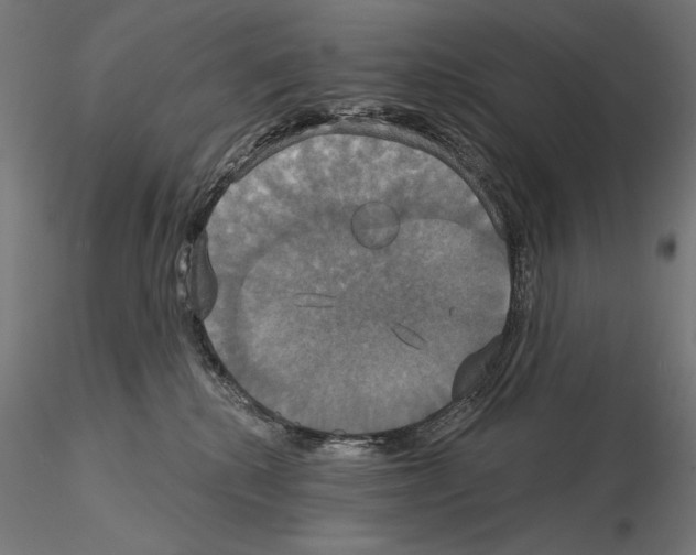 X0000115090280200912081242