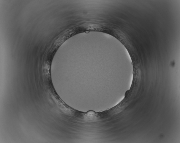 X0000115090281200912081242