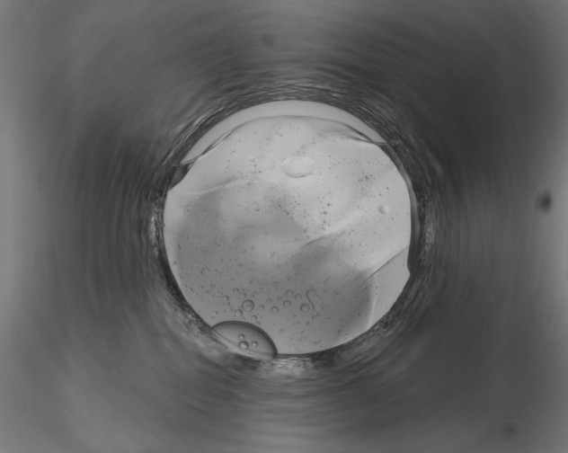 X0000115090282200912081242