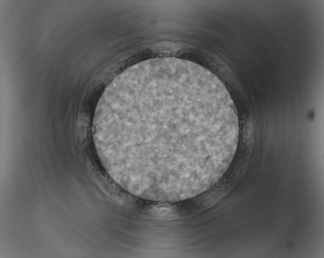 X0000115090283200912081242