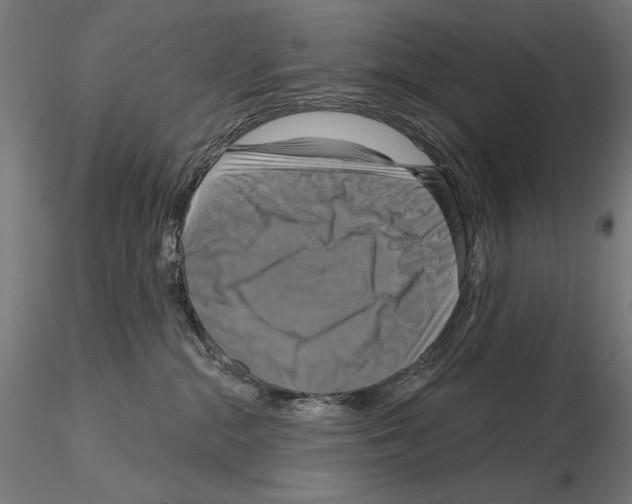 X0000115090284200912081242