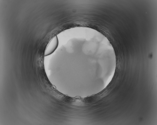 X0000115090285200912081242